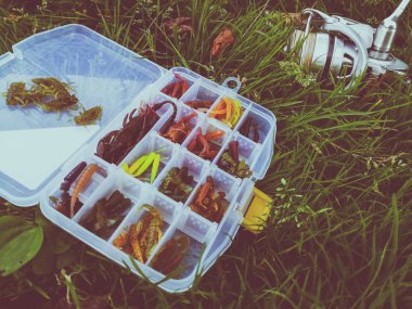 Balık tutma kavramı: Yemler ve iplik