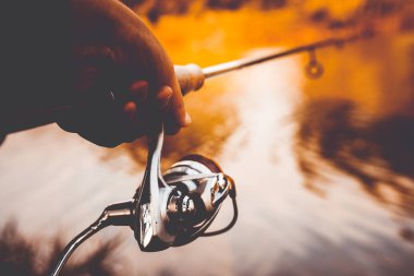 Kangoo botlar için etkin boş atlar.