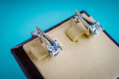 Taşlar Gümüş Küpe