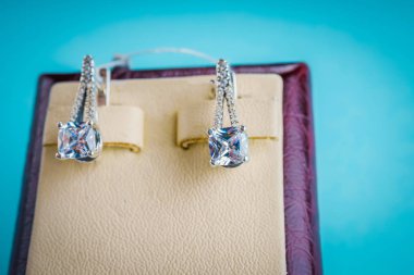 Taşlar Gümüş Küpe