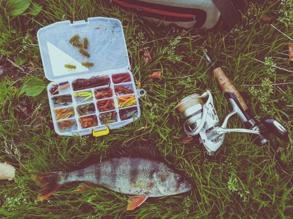 Concepto Pesca Pescado Caña Pescar Cebo —  Fotos de Stock