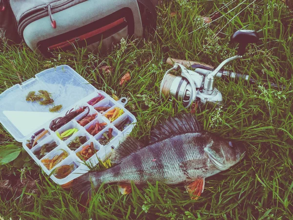 Concetto Pesca Pesce Canna Pesca Esca — Foto Stock