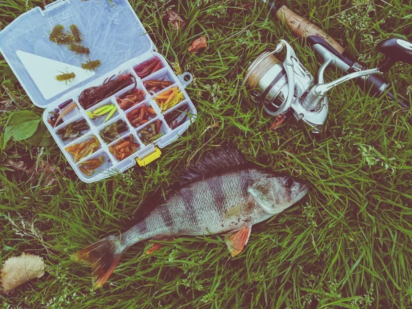 Concepto Pesca Pescado Caña Pescar Cebo —  Fotos de Stock