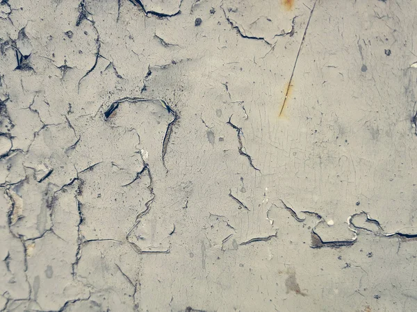 beyaz badanalı duvar-dekorasyon elemanları