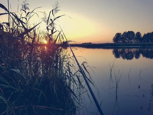 Vacker Kvälls Solnedgång Natur Landskap — Stockfoto