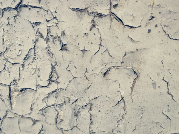 beyaz badanalı duvar-dekorasyon elemanları