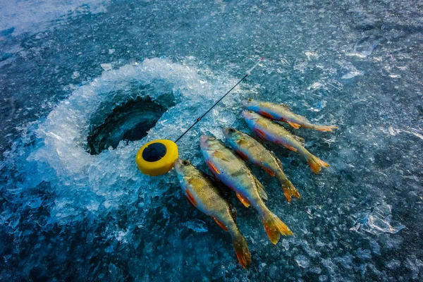 Pêche Hiver Glace — Photo