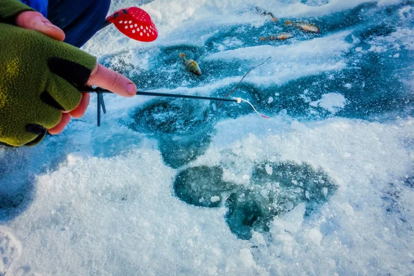 Pesca Invierno Desde Hielo — Foto de Stock