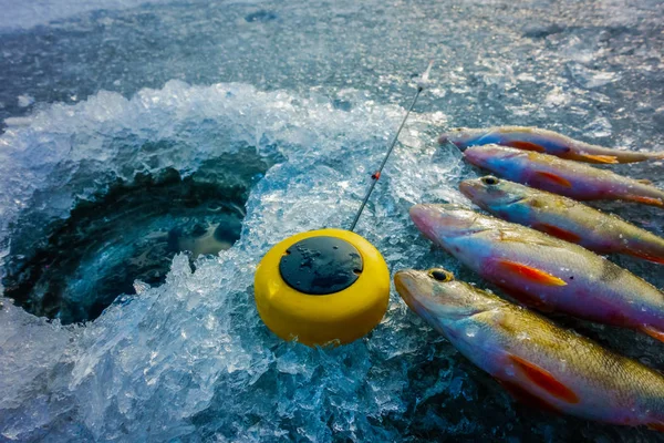 Pesca Inverno Partir Gelo — Fotografia de Stock