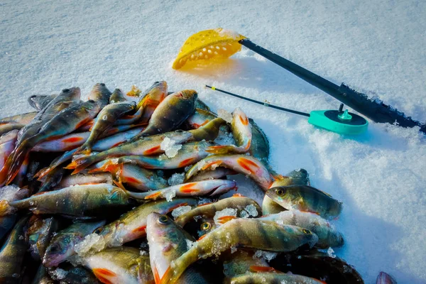 Pesca Sul Ghiaccio Invernale Sul Lago — Foto Stock