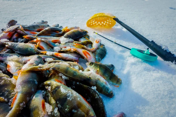 Pesca Gelo Inverno Lago — Fotografia de Stock