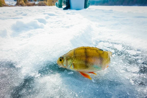 Зимняя Рыбалка Озере — стоковое фото