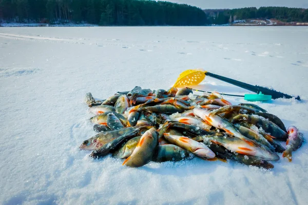 Зимняя Рыбалка Озере — стоковое фото