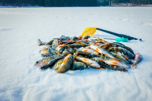 Zimowe Połowów Pod Lodem Jeziorze — Zdjęcie stockowe