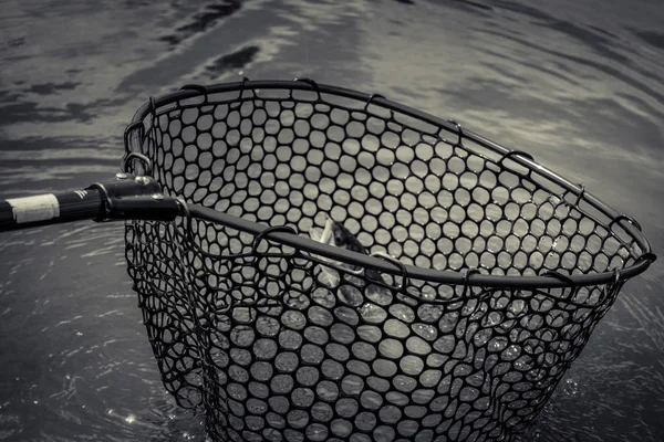 Pesca Truta Lago — Fotografia de Stock