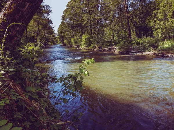 Hermoso Río Rápido Naturaleza —  Fotos de Stock