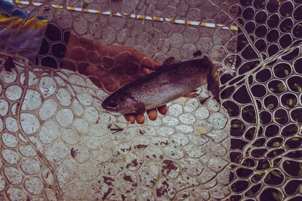 湖でのマス釣り — ストック写真