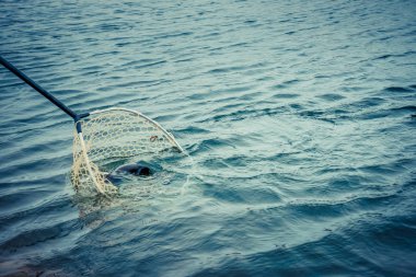 Gölde alabalık avı