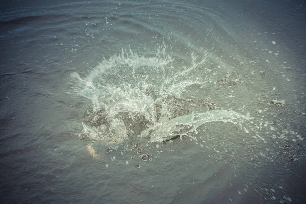 Pêche Truite Sur Lac — Photo