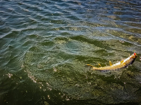 Angeln Auf Dem See — Stockfoto