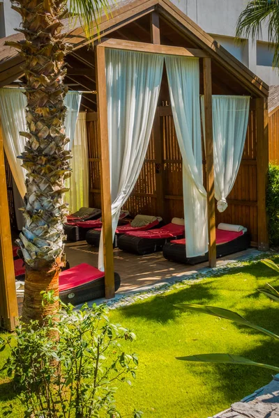 Güzel tatil beldesi. Yeşil ve çiçekler