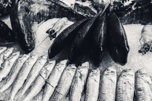 Fisch Auf Eis Einem Fischrestaurant — Stockfoto