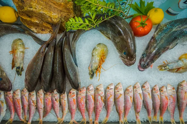 물고기 식당에서 물고기 — 스톡 사진