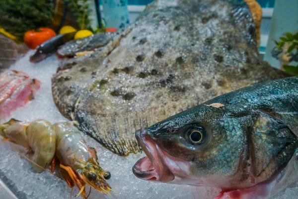 Fresh fish in the sea restaurant