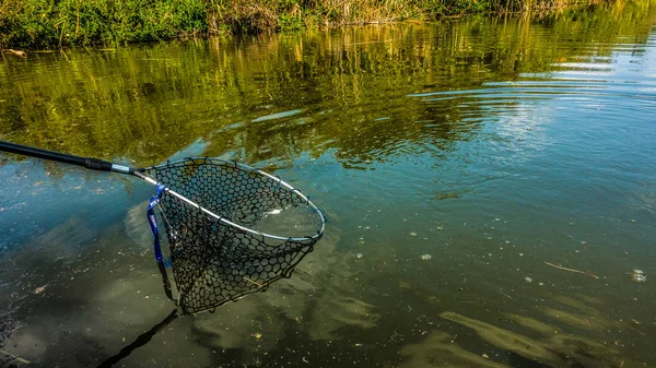 Ψάρεμα Πέστροφας Στον Ποταμό — Φωτογραφία Αρχείου