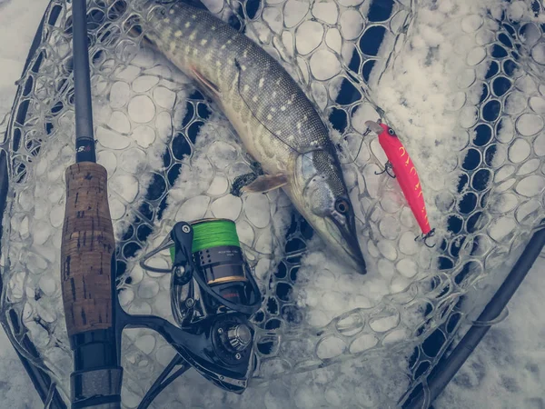 Pike fishing on the lake. Fishing recreation