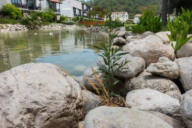 Kıyıdaki güzel hamak