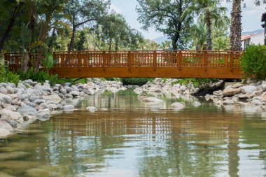 Kıyıdaki güzel hamak