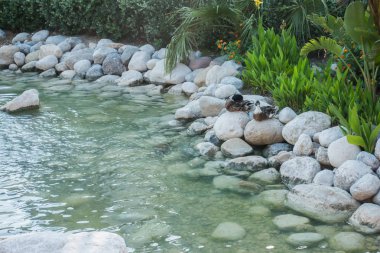 Kıyıdaki güzel hamak