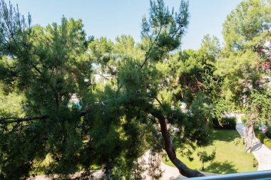 Güzel tatil beldesi. Yeşil ve çiçekler