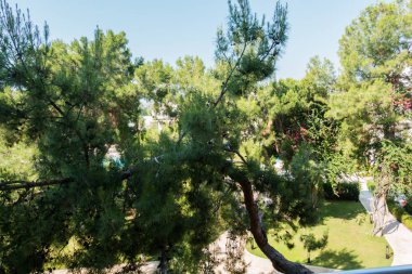 Güzel tatil beldesi. Yeşil ve çiçekler