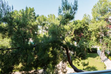 Güzel tatil beldesi. Yeşil ve çiçekler