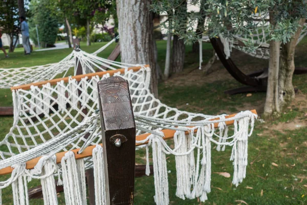 Kıyıdaki güzel hamak