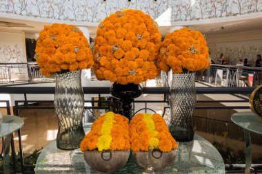 Muhteşem sahil resort manzaralar