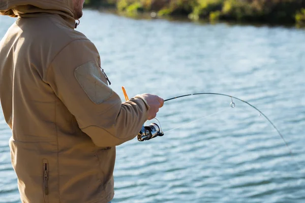 Forel vissen op het meer — Stockfoto