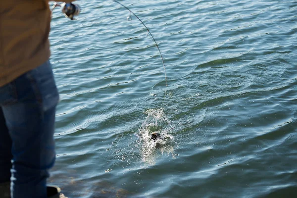 Pesca alla trota sul lago — Foto Stock