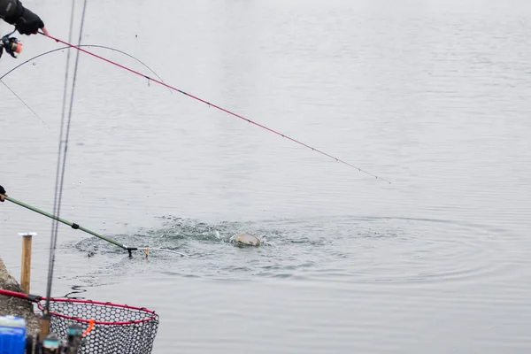 Pesca alla trota sul lago — Foto Stock