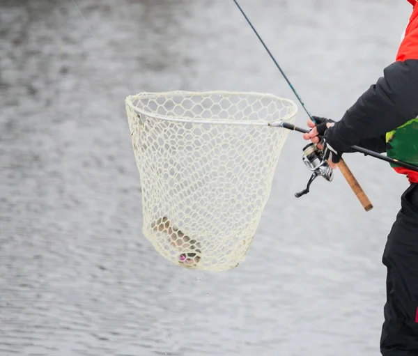 Trout fishing on the lake — Stock Photo, Image