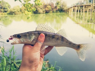 bir elinde bir göl kenarında balık yakaladı