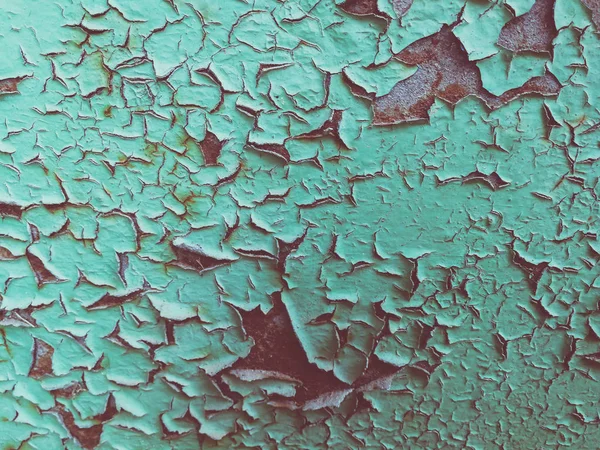 Textura Pintura Verde Irradiada —  Fotos de Stock