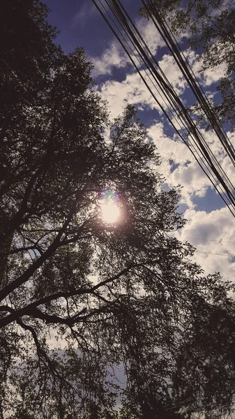 Schöne Straße Mit Bäumen — Stockfoto