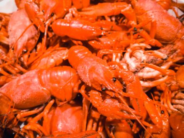 haşlanmış lezzetli kerevit arka plan