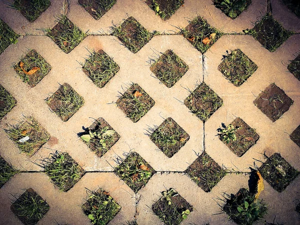 Hintergrund Beton Mit Gras — Stockfoto