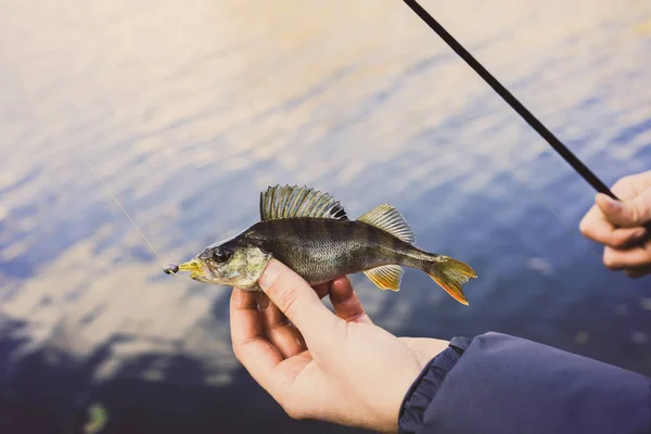 漁師と魚 — ストック写真