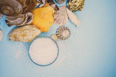 Kabukları ve deniz tuzu arka plan