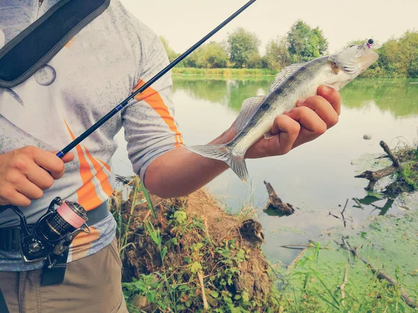 Pescador Capturó Pez Sosteniendo Mano — Foto de Stock